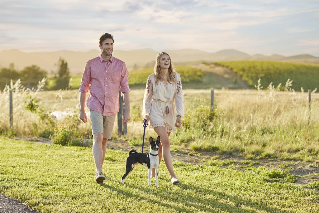 Carneros Resort And Spa Napa Bagian luar foto